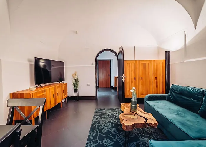 Joy Paul Chinezu 3 Timisoara