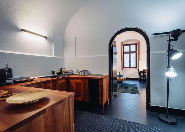 Joy Paul Chinezu 3 Apartment Timisoara